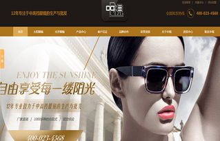廣州中視眼鏡營銷型網(wǎng)站建設(shè)案例 構(gòu)建線上視力健康門戶，驅(qū)動眼鏡銷售增長